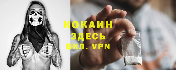 дурь Ладушкин