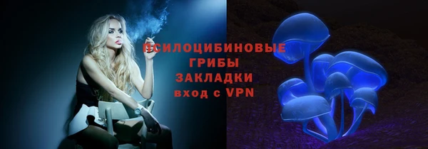 дурь Ладушкин
