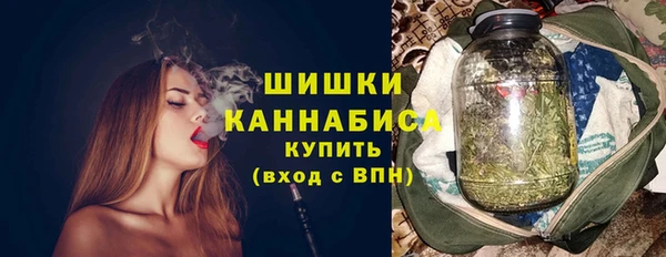 дурь Ладушкин